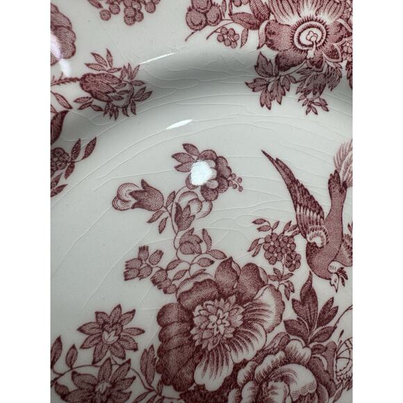 Royal Stafford Asiatic Pheasant Red Fine Earthenware 11” Dinner Plates -5 Pc Set - Picture 4 of 12
